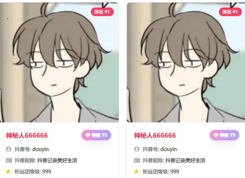查询结果展示